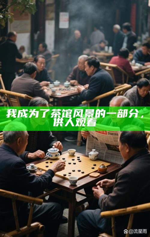 我成为了茶馆风景的一部分，供人观看